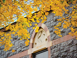 Photo of a window through the fall leaves. Link to Gifts of Appreciated Securities. Photo of a window through the fall leaves. Link to Gifts of Appreciated Securities.