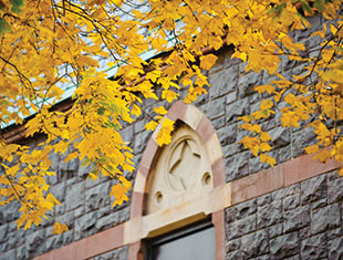 Photo of a window through the fall leaves. Link to Gifts of Appreciated Securities.